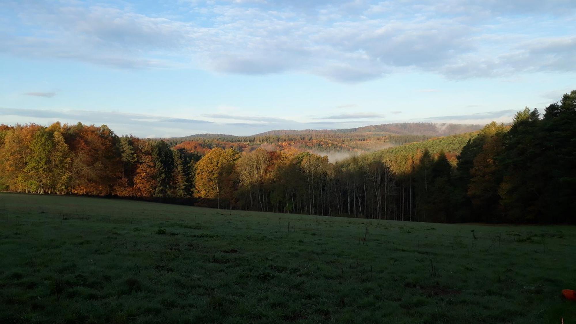 StadtprozeltenEllernhof Im Spessart别墅 外观 照片